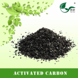 High Quality Hot Sell Palm Shell Activated Carbon